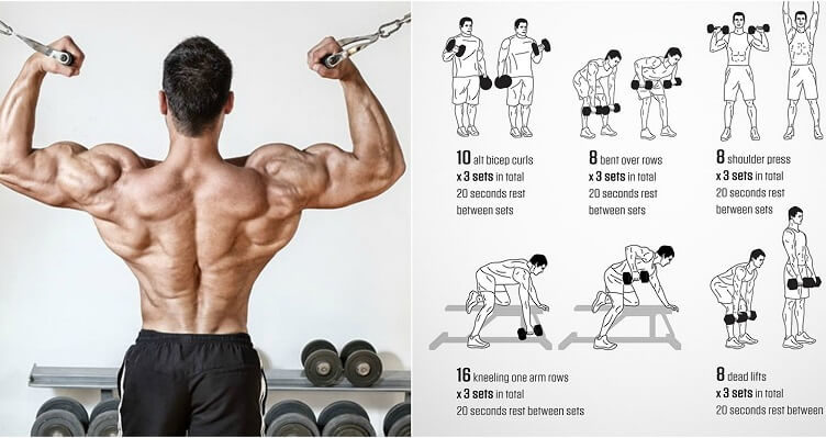 Best Workouts for Muscle Gain