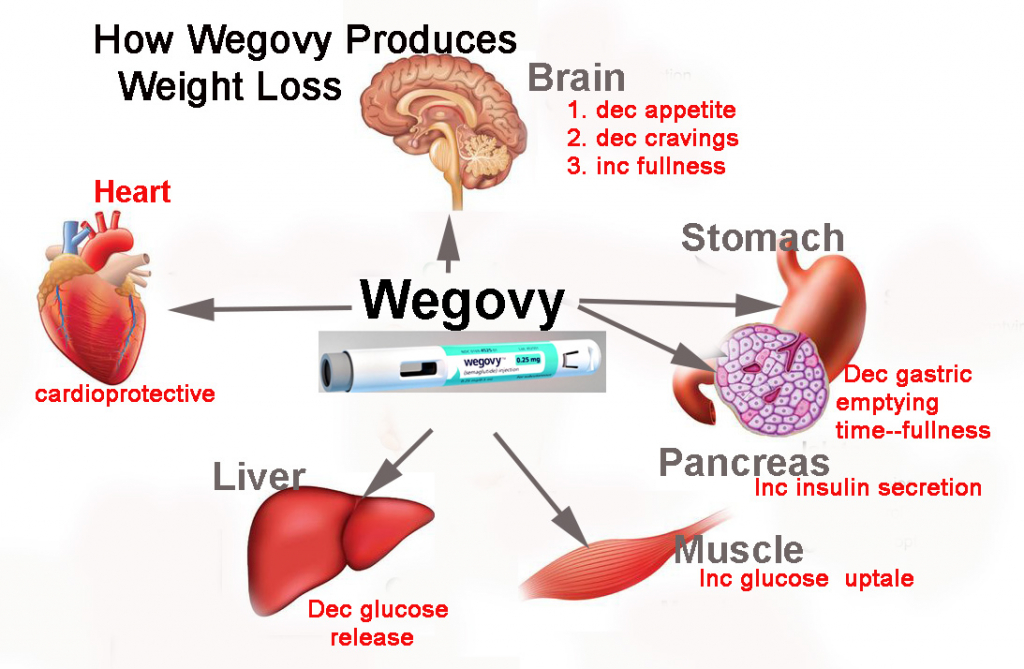 How Long Do You Take Wegovy for Weight Loss?